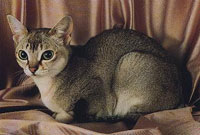 Singapura