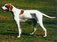 Braco